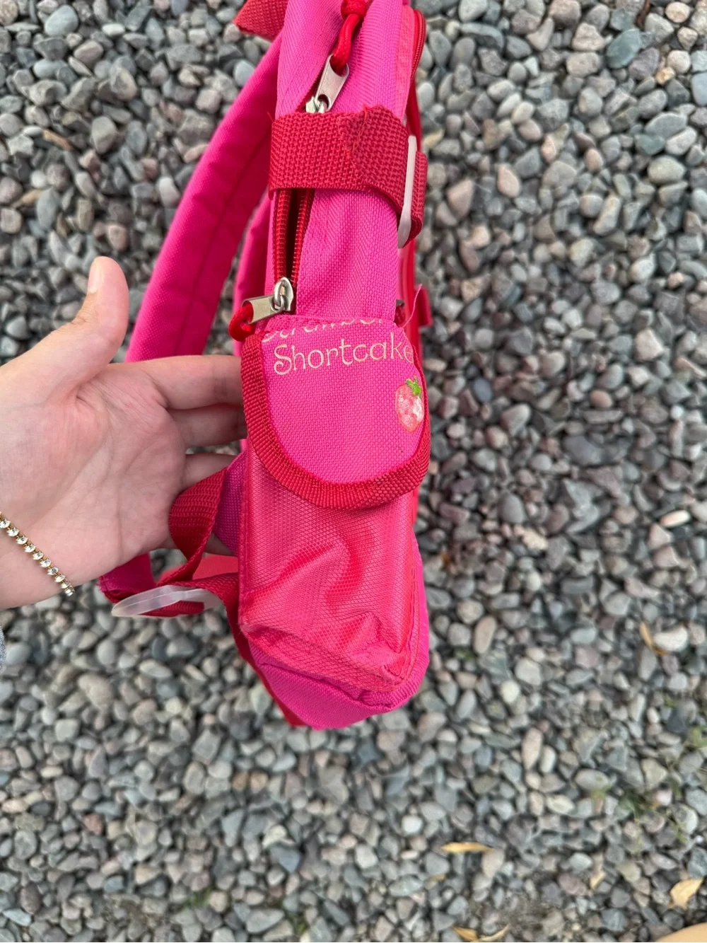 Vintage 2006 Strawberry Shortcake Pink Backpack Y2K Custard Kids Bag